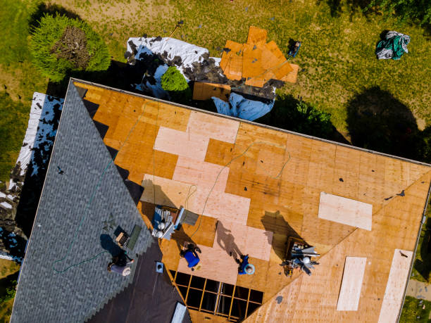 Best Roof Waterproofing Services  in Sissonville, WV