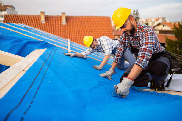 Best Storm Damage Roof Repair  in Sissonville, WV